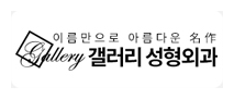 갤러리 성형외과